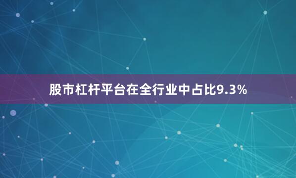 股市杠杆平台在全行业中占比9.3%