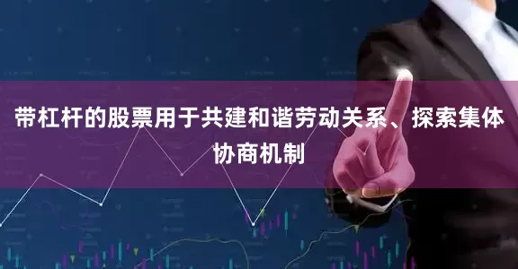 带杠杆的股票用于共建和谐劳动关系、探索集体协商机制