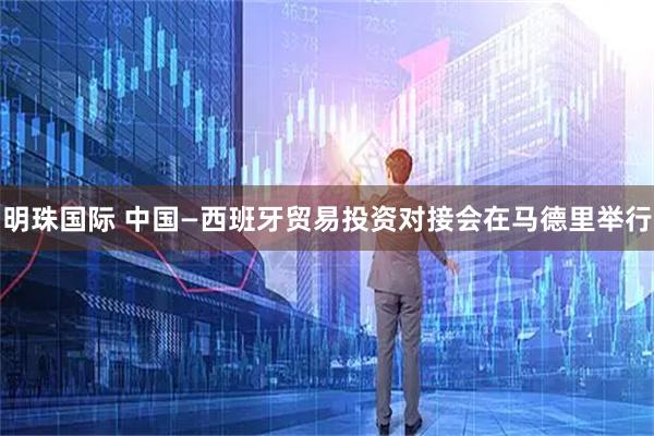 明珠国际 中国—西班牙贸易投资对接会在马德里举行