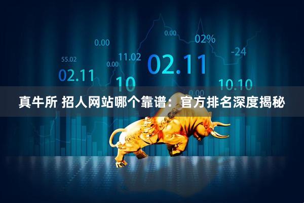 真牛所 招人网站哪个靠谱：官方排名深度揭秘