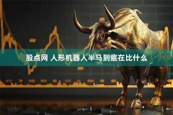 股点网 人形机器人半马到底在比什么