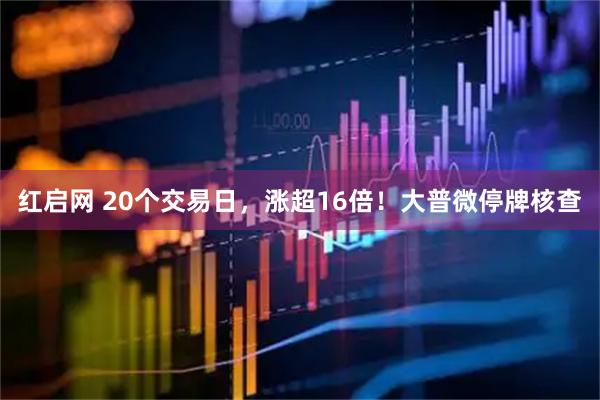 红启网 20个交易日，涨超16倍！大普微停牌核查